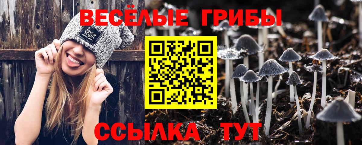 Фрязино  Галлюциногенные грибы Psilocybine cubensis  Вход с VPN  Галлюциногенные грибы Psilocybine cubensis 