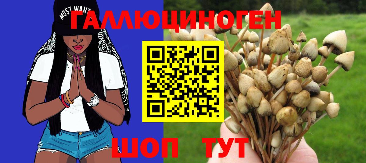 Псилоцибиновые грибы ЛСД Фрязино